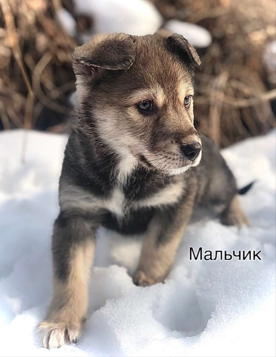 Друзья Санкт-Петербург Лен область Москва и вся центральная Россия ЭКСТРЕННЫЙ