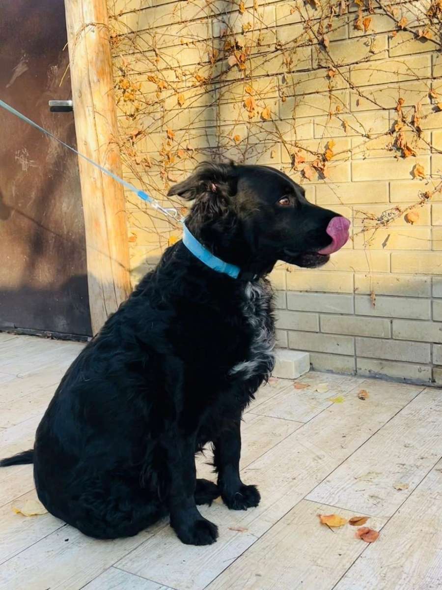 Амур «всё понял про эту жизнь» Взрослый серьезной и уравновешенный парень ищет