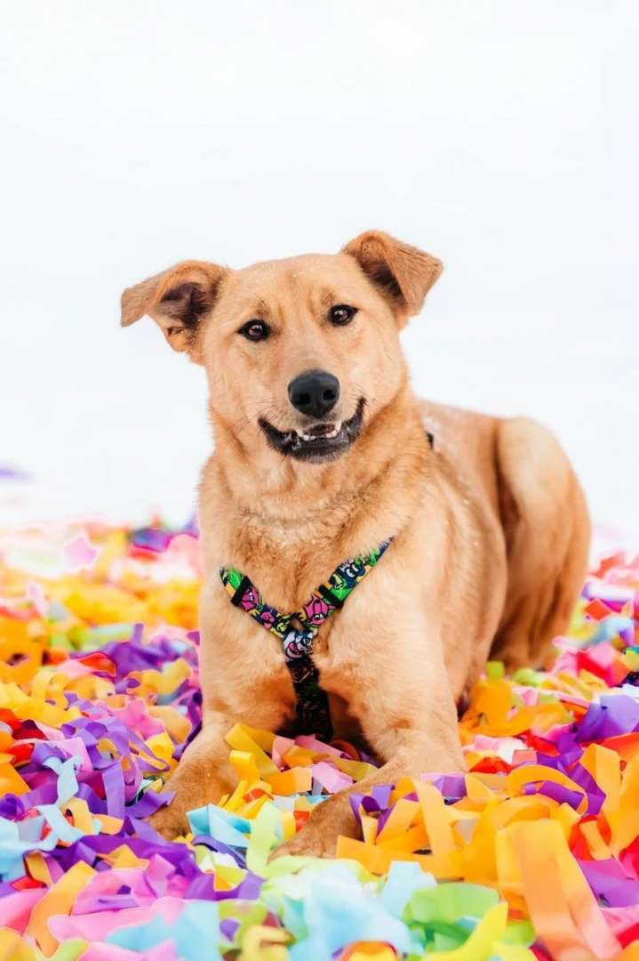 Москва и МО Лион — ваше солнце, которое никогда не заходит