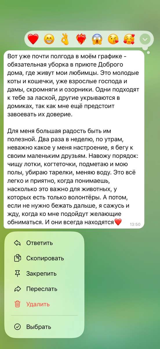 Добрый дом ищет надежных друзей Мечтаете помогать котикам и делать мир чище