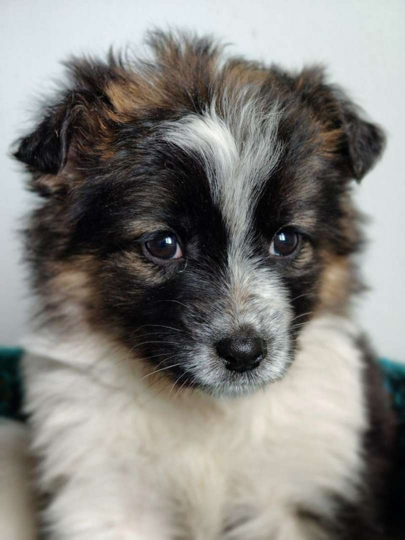 Маленькая Дорис ищет заботливую семью