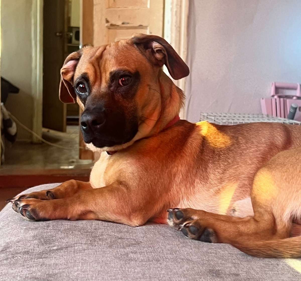 Мы не теряем надежды и продолжаем искать Энгельс район военкомата/набережной