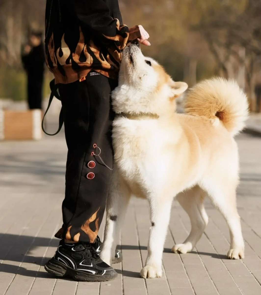 ОН ЖДЕТ СВОЕГО ЧЕЛОВЕКА ТРИ ГОДА Краснодар В октябре года в одной из кубанских