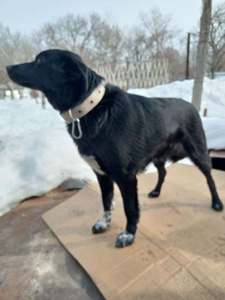 Вольск Девочке год Дважды пристраивалась В первый раз её взяла молодая женщина