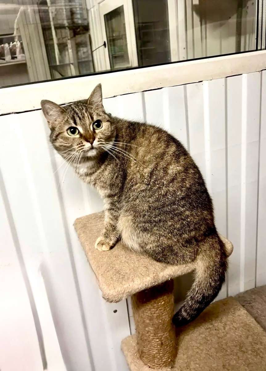 Анфиса удивительная очень нежная девочка Она любит и поиграть и получить