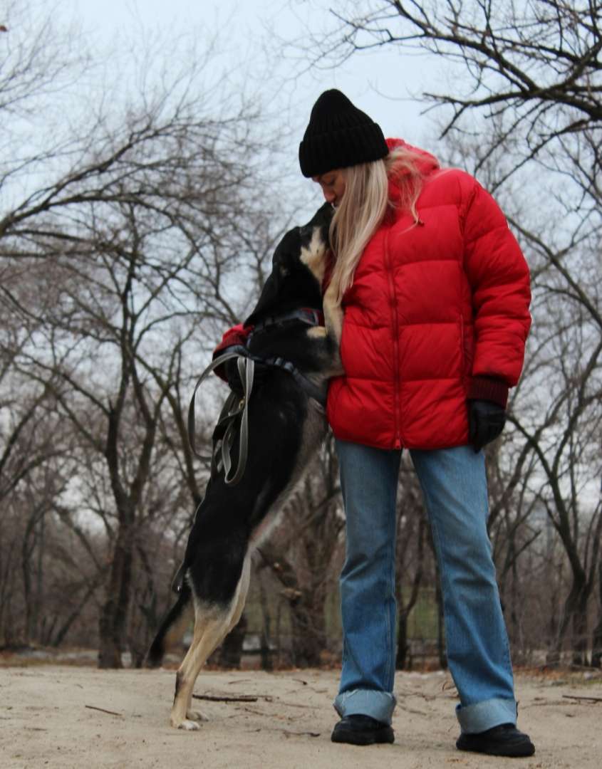 Тэфи ищет дом каждую минуту и секунду