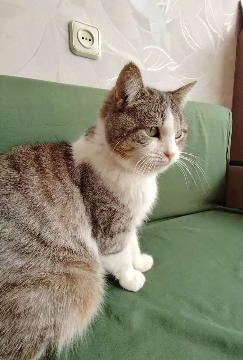 Краснодар и край Возможна доставка Знакомьтесь это Белочка Эту малышку спасла