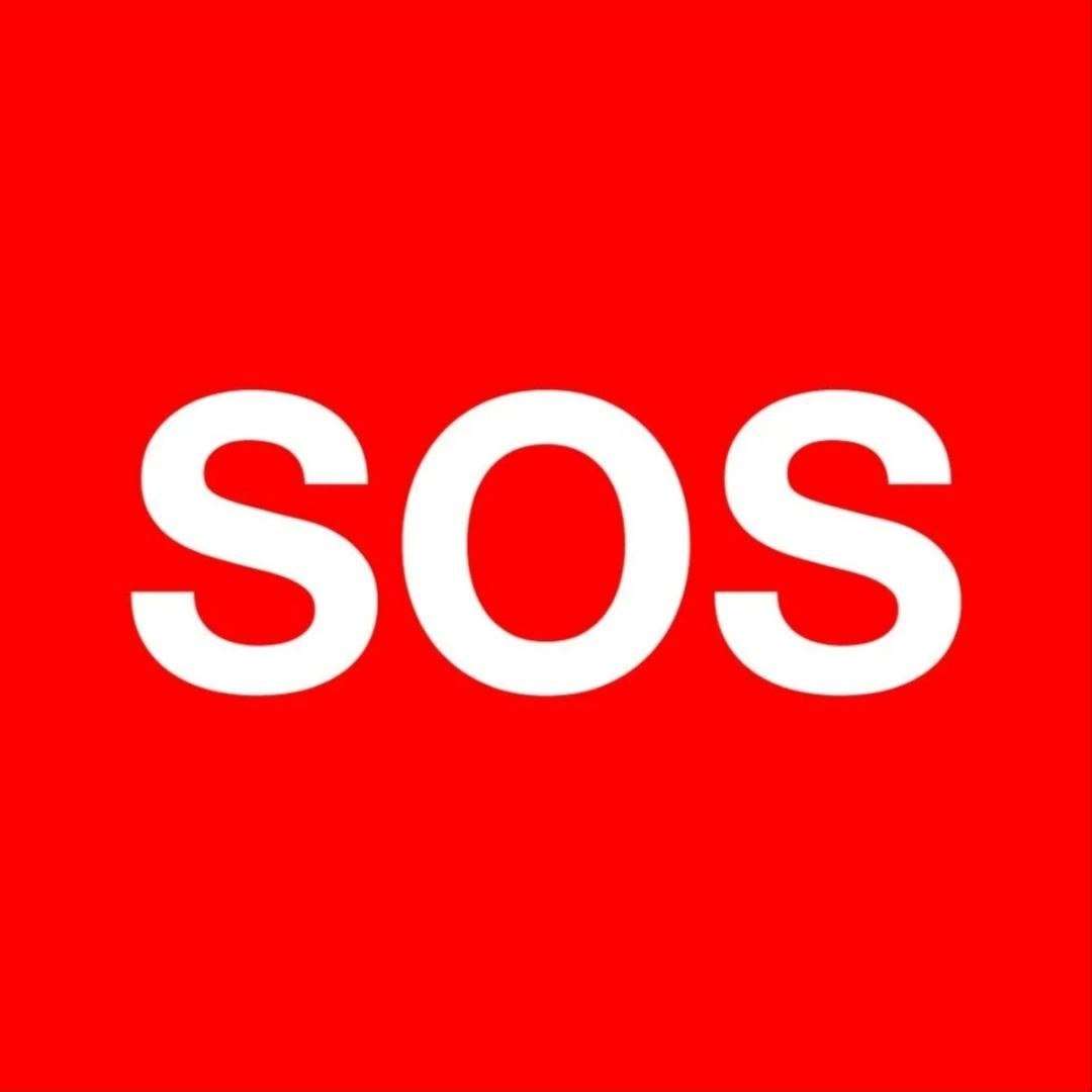 Выкинули домашнюю кошечку в подъезд Нашел знакомый сам не может ее взять