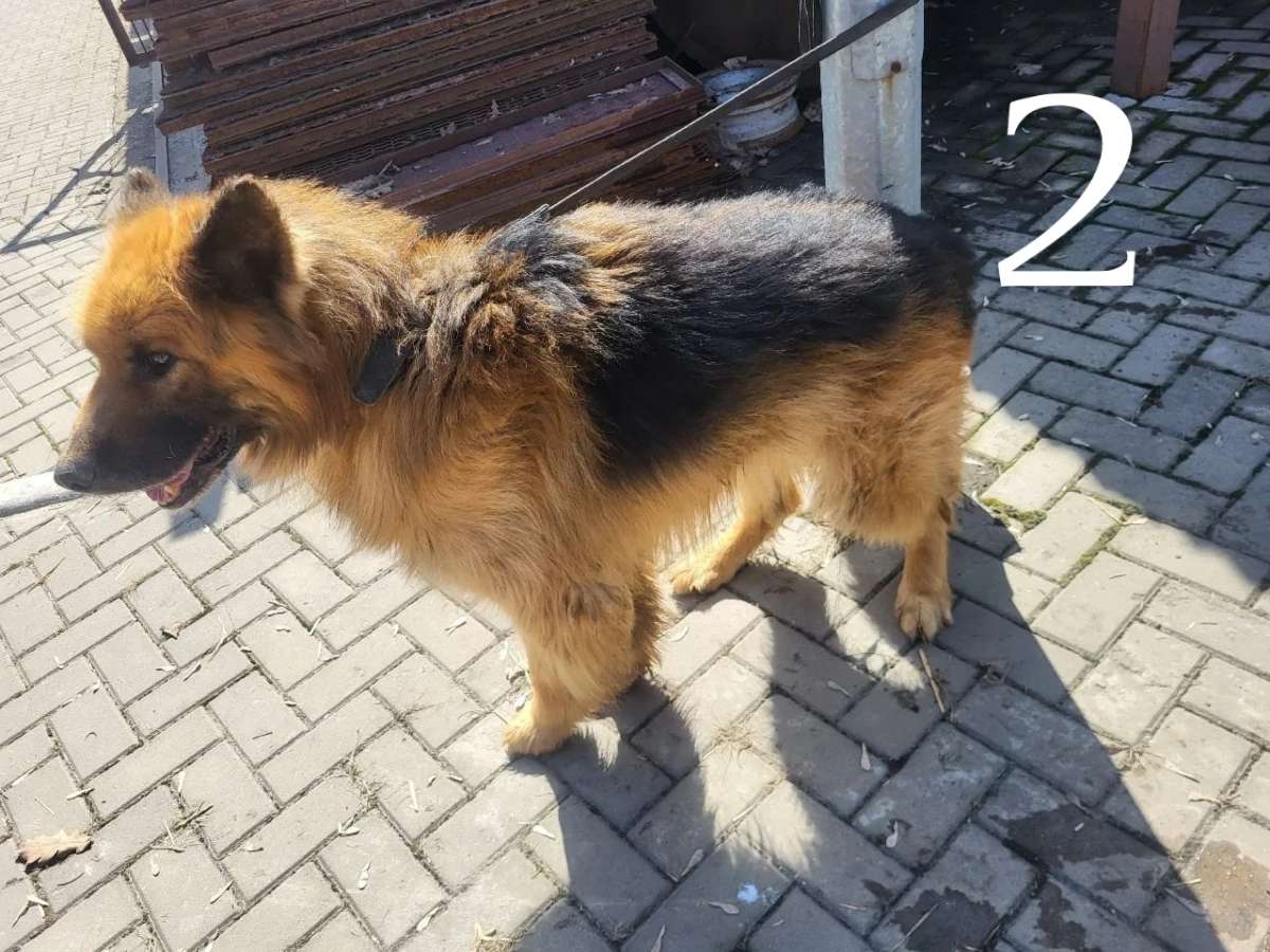 Воронеж Если найдутся люди в других городах можно организовать переезд