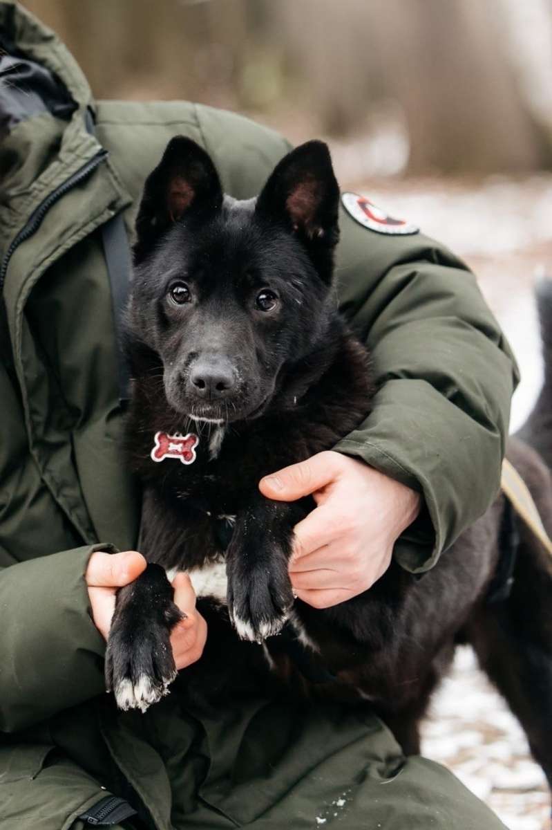 ОЧЕНЬ НУЖЕН ДОМ ДЛЯ СПАСЁННОЙ ИЗ ОТЛОВА МАЛЫШКИ