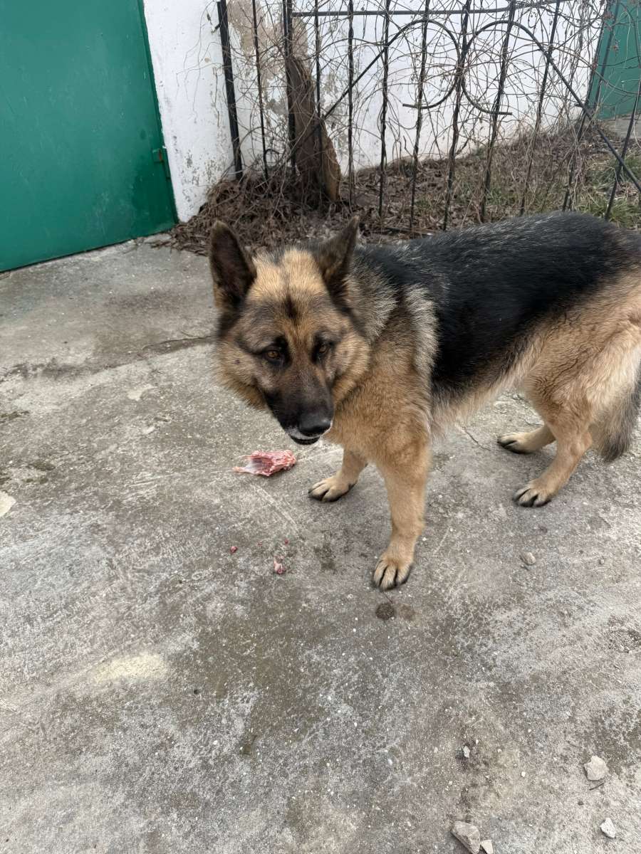 Марта года, примерно в, в районе ул.