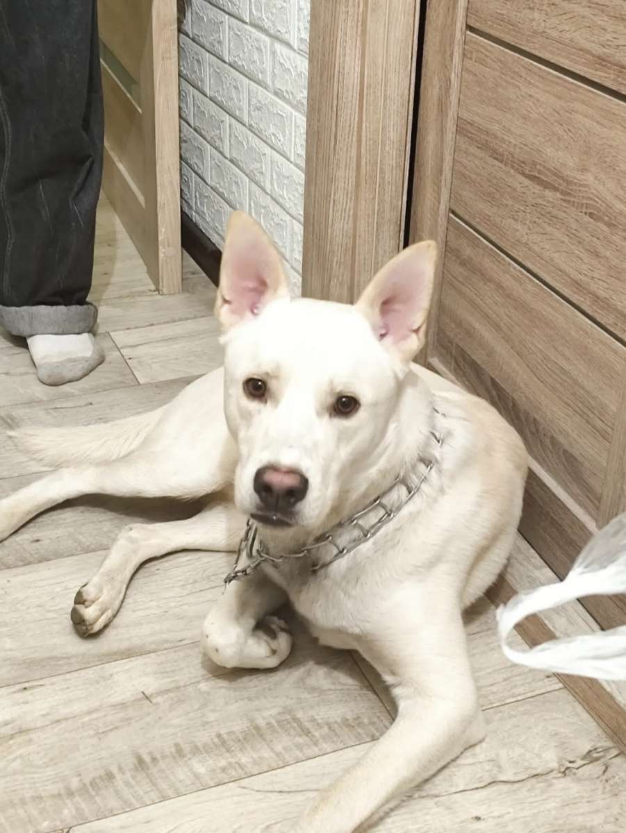 Район СТРЕЛЕЦКАЯ БУХТА-ТОКАРЕВА-ОСТРЯКОВА, НО УЖЕ МОЖЕТ БЫТЬ ГДЕ УГОДНО...