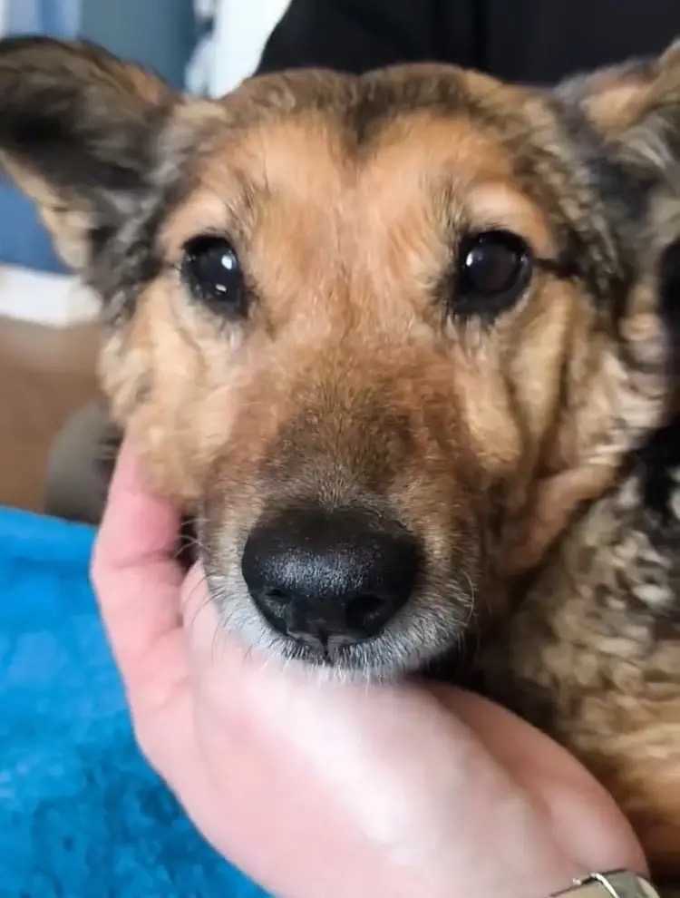 Самара, умоляем о помощи!!!! Нужны репосты!