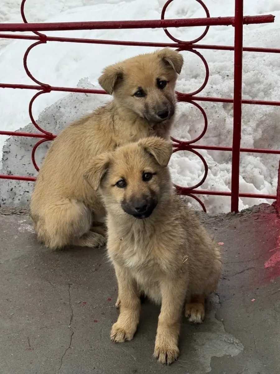 К забору складских помещений подъехала машина.