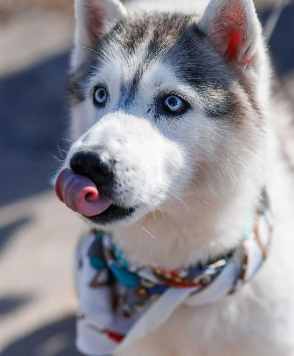 Нижний Новгород, НО Ну, красавчик!!! Жорж!