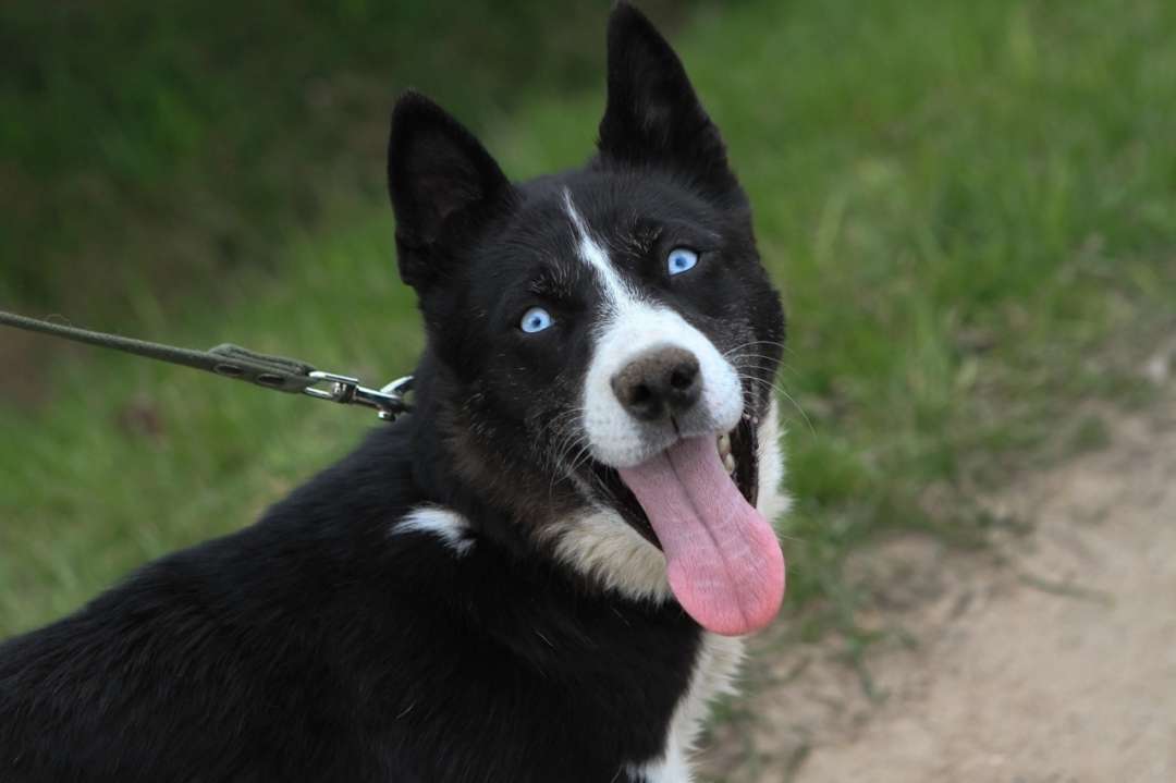 Ну почему же никто не замечает такую красотулю КАРМЕН