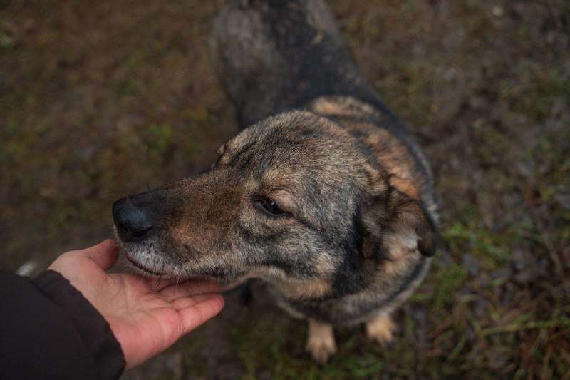 Представляем вашему вниманию малышку из леса МЕЛИССУ Подросшая малышка 2 года в