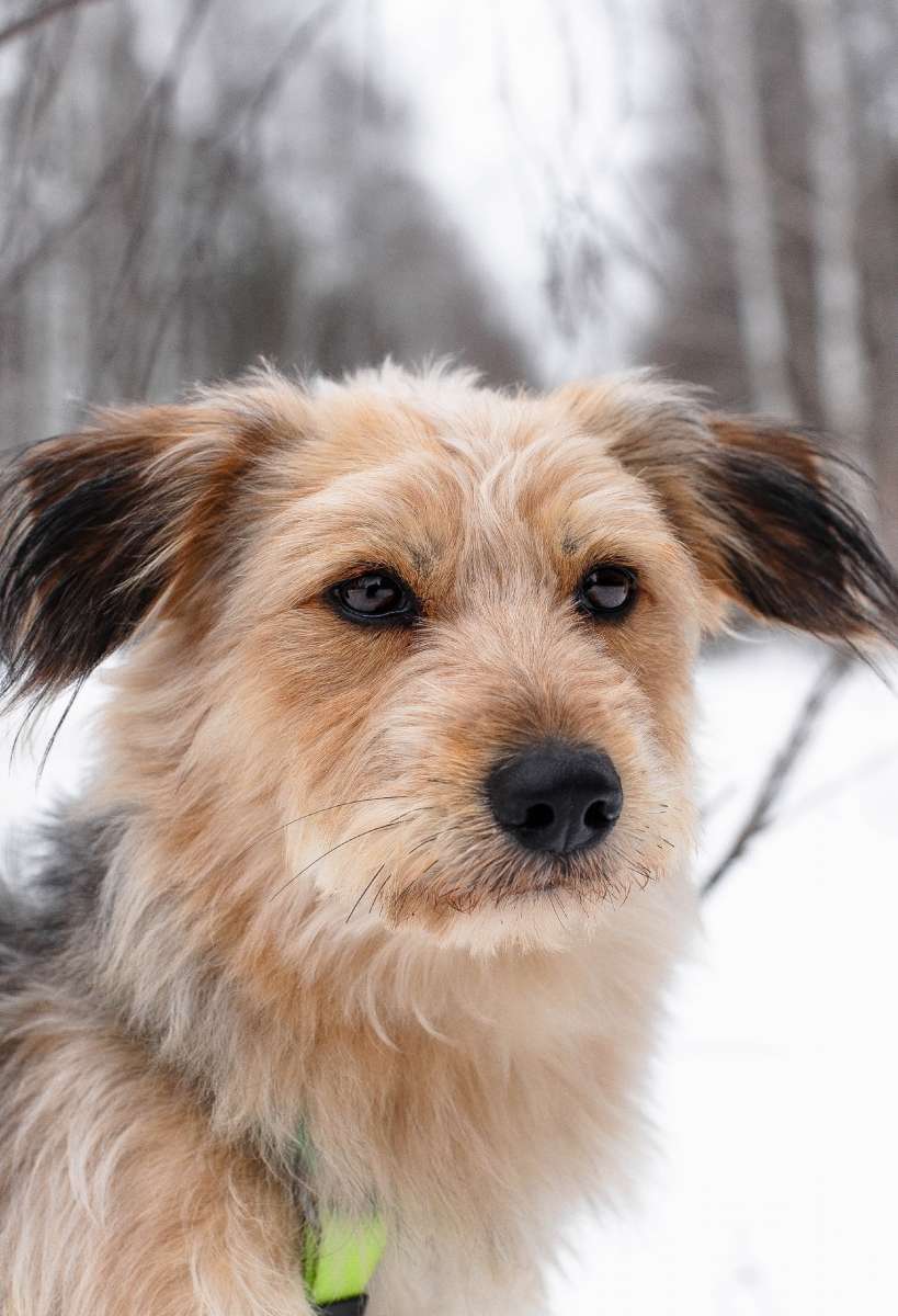 Молоденький мальчишка Пьер ожидает свою любящую семью