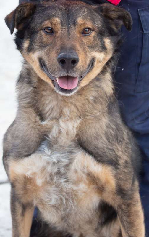 ЖУЛИК Потерял все в один миг Все чем жил о чем мечтал и кого оберегал